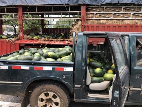 行善最樂，端午之際赫茲曼電力扶貧獻愛心